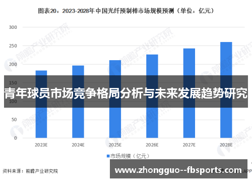 青年球员市场竞争格局分析与未来发展趋势研究